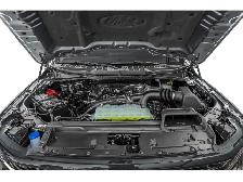 2024 Ford F-150 XLT - Photo 8