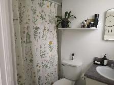 1 1/2 au centre-ville de Québec - Photo 7