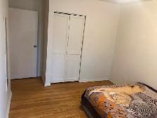 LARGE ROOM MAIN FL-50m TO PLAZA STEELES/BATHURST NORTH YORK - Photo 2