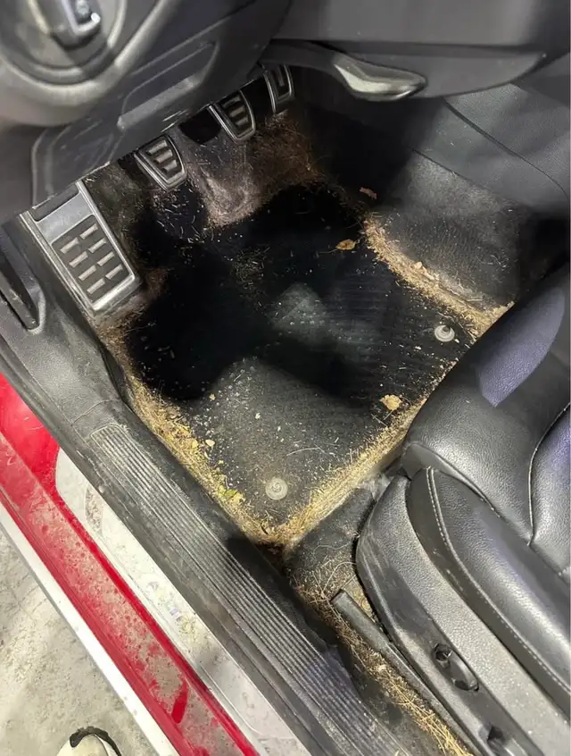 Car Detailing Services - Photo 4