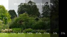 Privacy Window Tint for Residential & Commercial - Photo 9