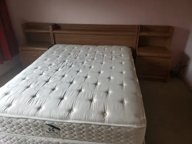 Master Bedroom for Rent Near Humber Collage - Photo 7