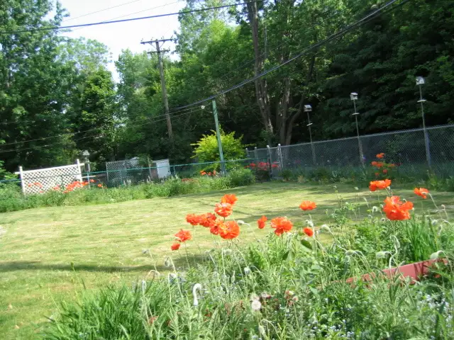 Utilities included,Large room, Furnished, Free Wifi--ALL FEMALE - Photo 9