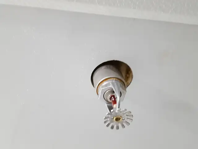 Walk-in Freezer - Photo 6