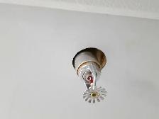 Walk-in Freezer - Photo 6