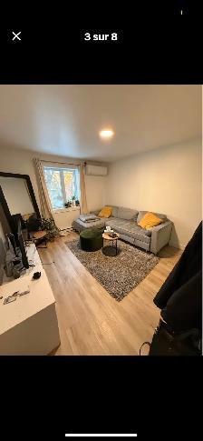 3 1/2 NOUVEL RÉNOVATION - Photo 3