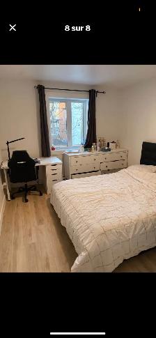 3 1/2 NOUVEL RÉNOVATION - Photo 8