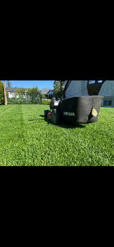 Tonte de Gazon/Pelouse - Photo 2