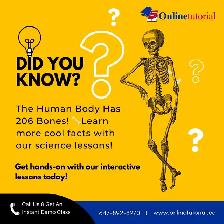 Offering Online Tutoring -  Homework, Projects, Assignment - Photo 5