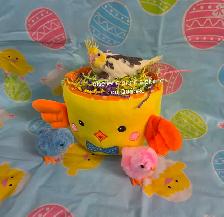 Oisillons cockatiel - Photo 2