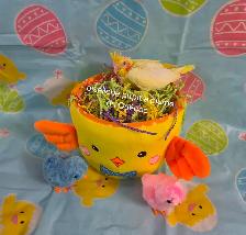 Oisillons cockatiel - Photo 3