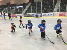 Windsor and Amherstburg Minor Ball Hockey League needs refs! - Photo 2