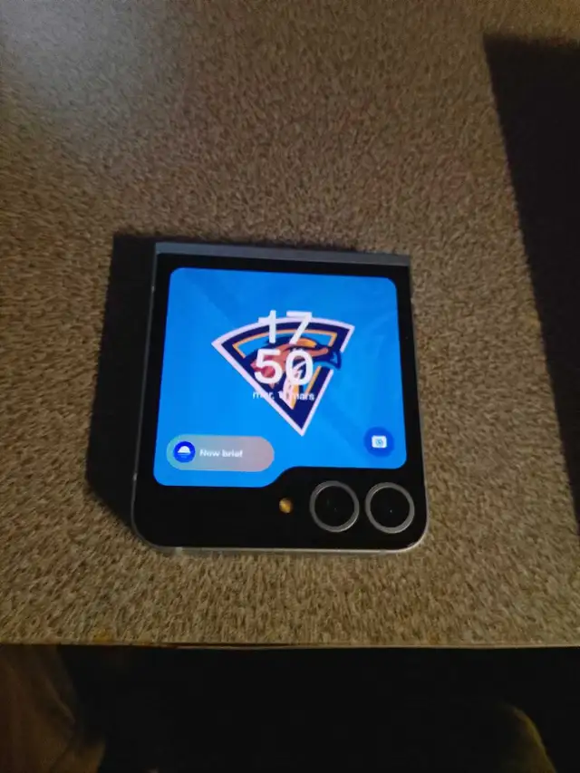 Samsung Galaxy Z Flip 6 256GB