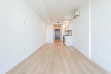 Large 407 SF Studio | Downtown Montreal | Available Now - Photo 3