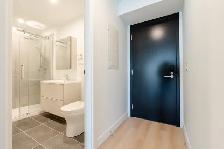 Large 407 SF Studio | Downtown Montreal | Available Now - Photo 5