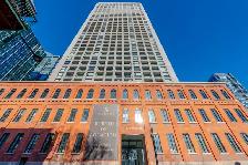 Large 407 SF Studio | Downtown Montreal | Available Now - Photo 11