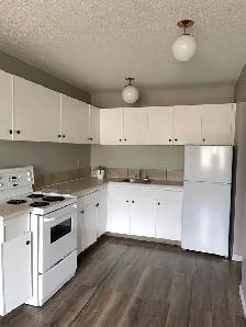 FOR RENT 1 & 2 Bd apartments - 11916 105 St Edmonton (area NAIT) - Photo 4