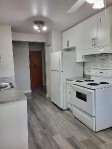 $1095/Month One Bedroom Suite for Rent April 15th