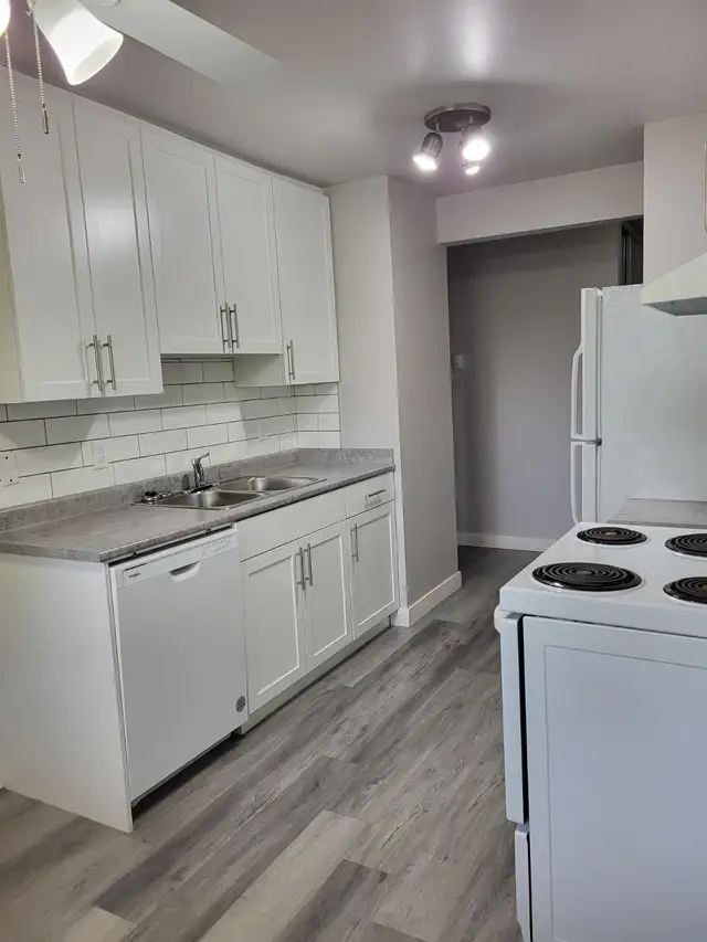 $1095/Month One Bedroom Suite for Rent April 15th - Photo 3