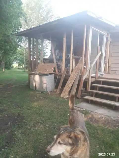 Handy man /woman needed