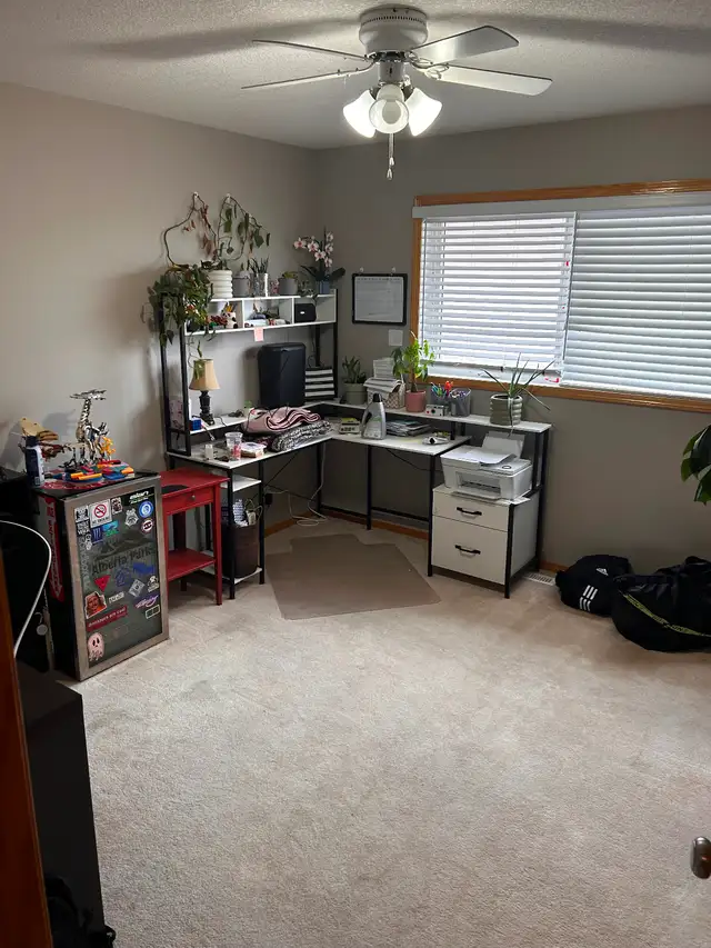 Large Mainfloor 2Bdrm Mainfloor Suite for Rent - Photo 3