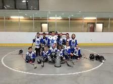 Peterborough Minor Ball Hockey League needs REFS! - Photo 2