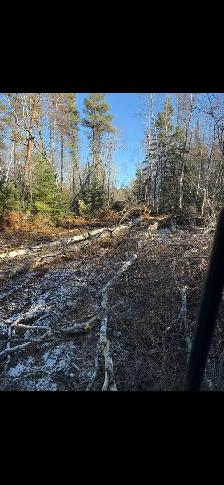 Mulching, Land Clearing ,gravel/dirt work - Photo 6