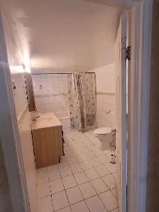 Basement apartment for rent