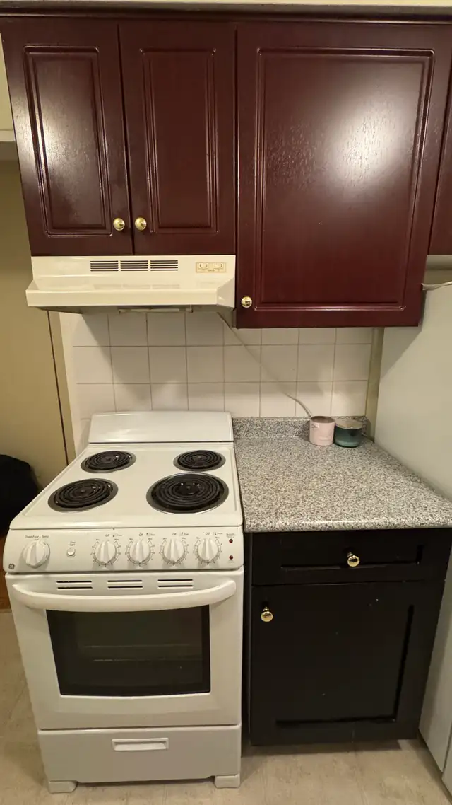2 Bedroom Apartment For Rent in LoLo (Lower Lonsdale), - Photo 4