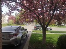 room with private washroom for rent(male only) - Photo 10