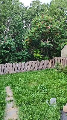 Basement for rent in Oshawa from May 1, $1300 - Photo 2