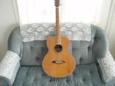 WASHBURN  ACOUSTIC GUITAR - Photo 2