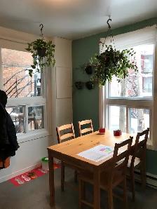 Beau grand 4 1/2, 4e Avenue Limoilou juillet parking - Photo 4