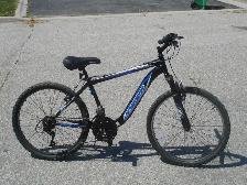 GREAT CONDITION 24' HYPER BOUNDARY TRAIL 21 SPDS   SUSPENSION! - Photo 3