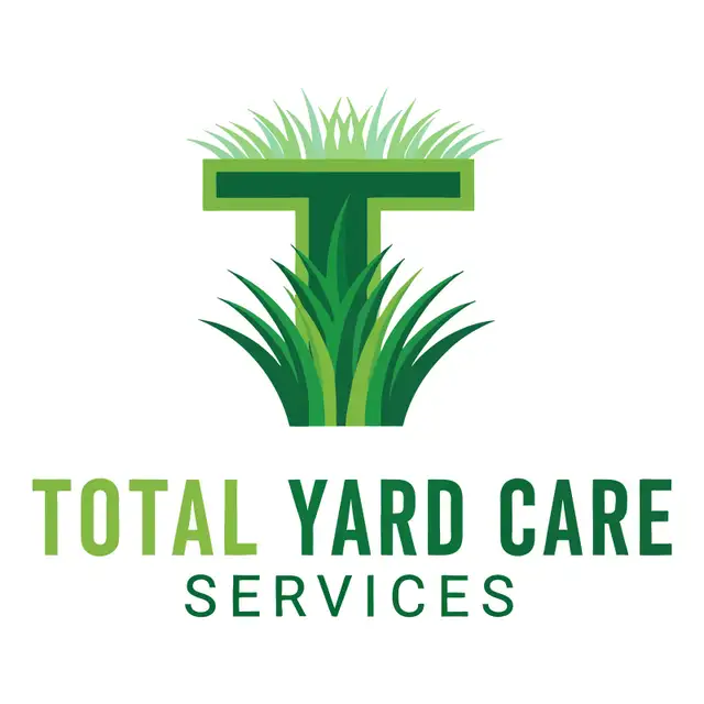 professional spring cleanups