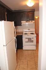 2 Bedroom Above Ground/Basement Apartment - Photo 2