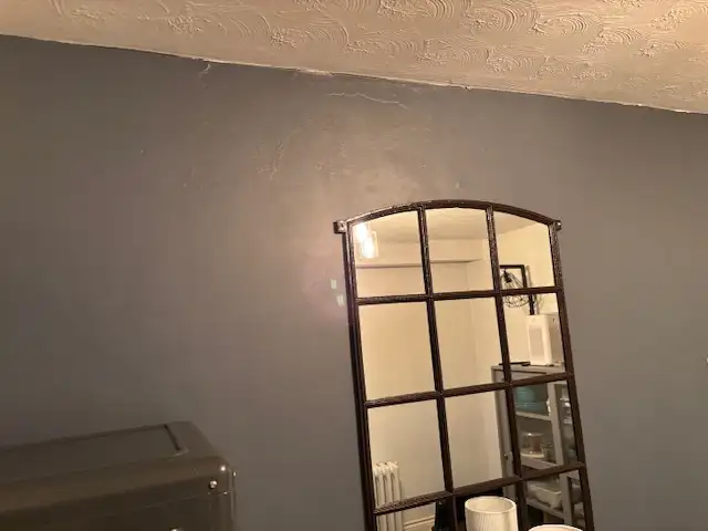 2 Bedroom Above Ground/Basement Apartment - Photo 4