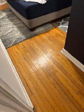 2 Bedroom Above Ground/Basement Apartment - Photo 5