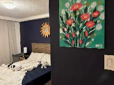 2 Bedroom Above Ground/Basement Apartment - Photo 12