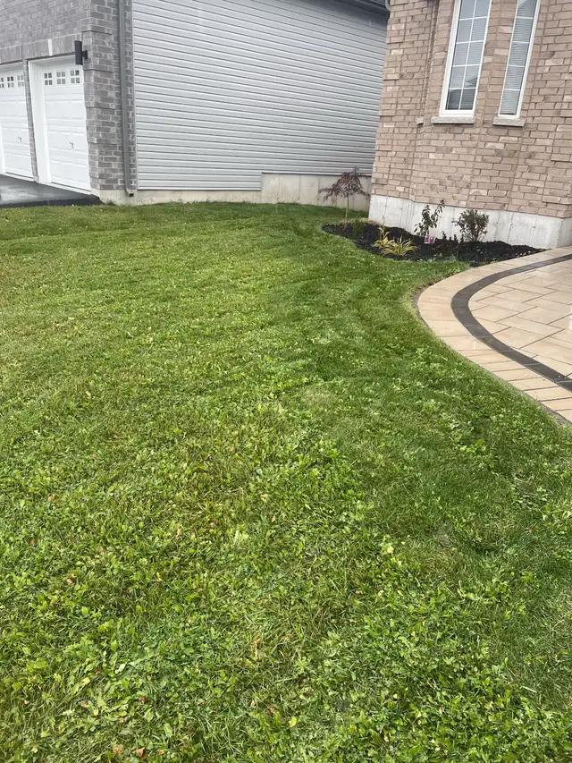 Lawn Cutting & Property Maintenance - Photo 3