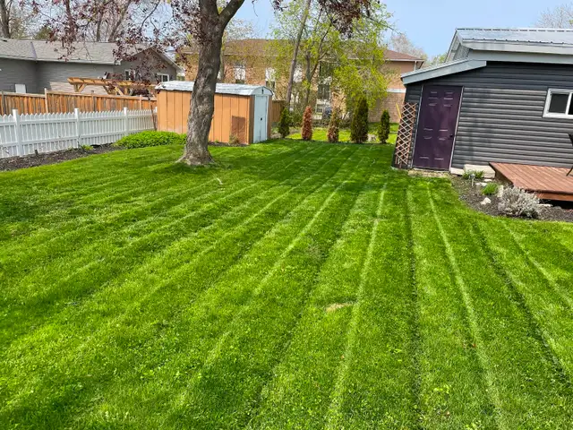 Lawn Cutting & Property Maintenance - Photo 4