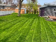 Lawn Cutting & Property Maintenance - Photo 4