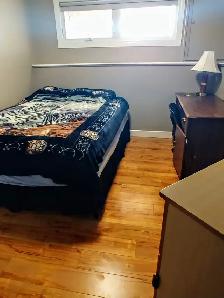 Avail May 1st, 1 room for rent worker/student - Photo 3