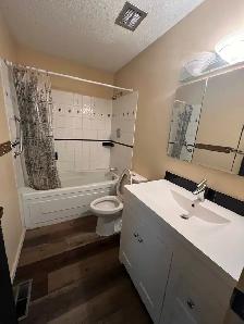 house for rent main suite - Photo 4