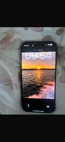 MINT siphoned 16 Pro Max 256GB Black