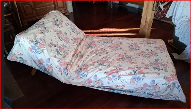 Futon Bed or Lounge Recliner.