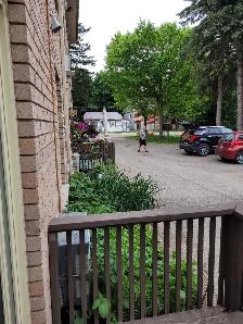 MOUNT FOREST FINEST - SENIORS ENJOY QUIET COMFORT - Photo 2