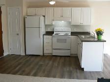 MOUNT FOREST FINEST - SENIORS ENJOY QUIET COMFORT - Photo 4