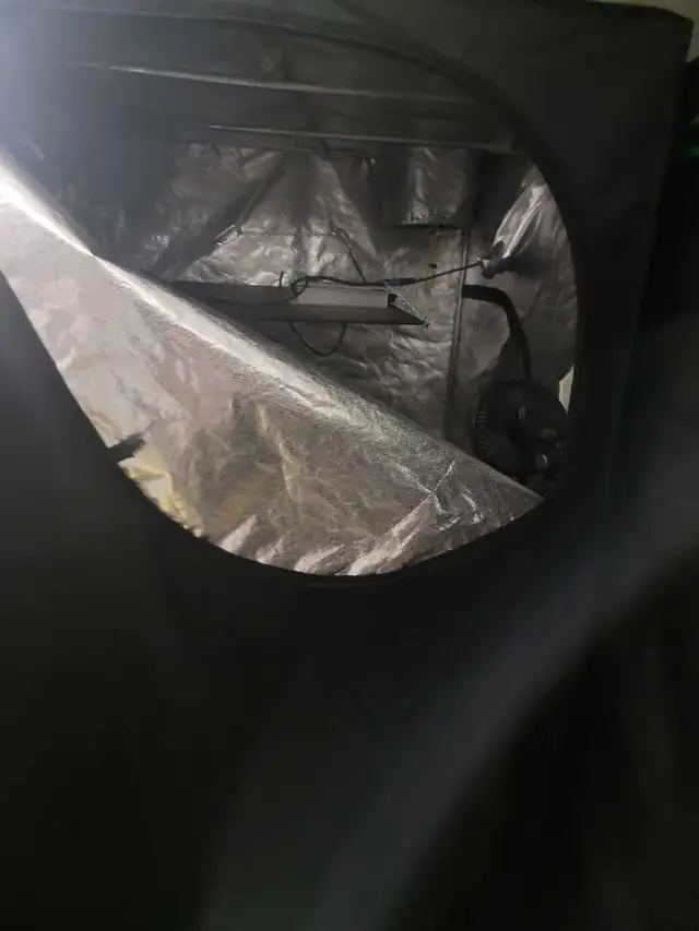 Grow Tent Complete Setup Cheap!!