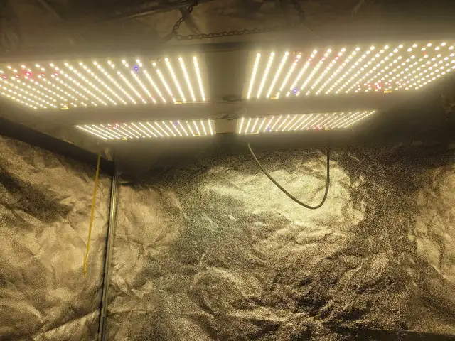 Grow Tent Complete Setup Cheap!! - Photo 4